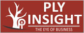 plyinsight.com