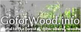 Goforwood.info