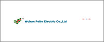 WUHAN FEITE ELECTRIC CO., LTD. 