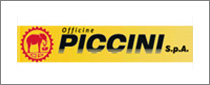 PICCINI GROUP