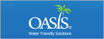 OASIS INTERNATIONAL