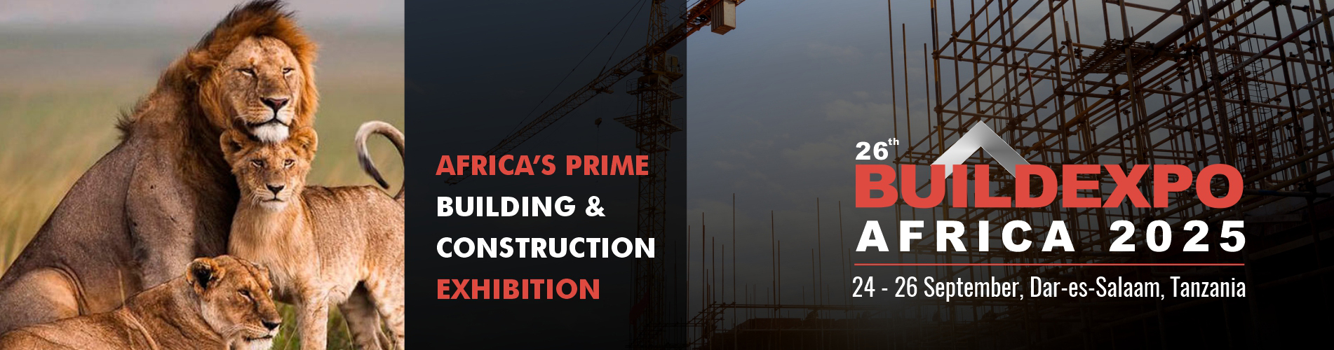Buildexpo Tanzania 2025 - International BUILDING & CONSTRUCTION Show Africa