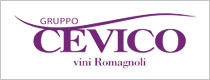 Cevico Group
