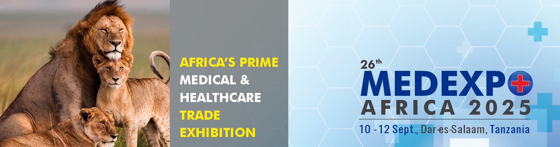 Medexpo Tanzania 2024 - International MEDICAL & HEALTHCARE Show Africa