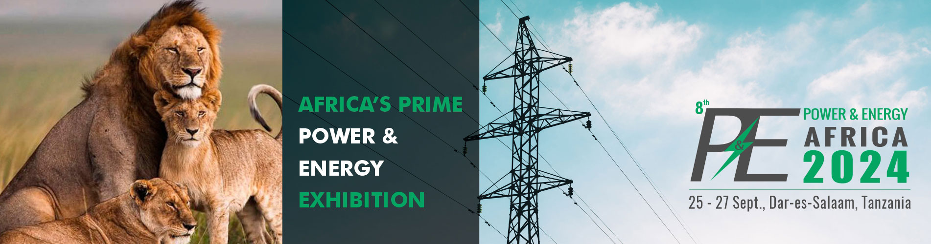 POWER & ENERGY Tanzania 2024 - International POWER & ENERGY Show Africa