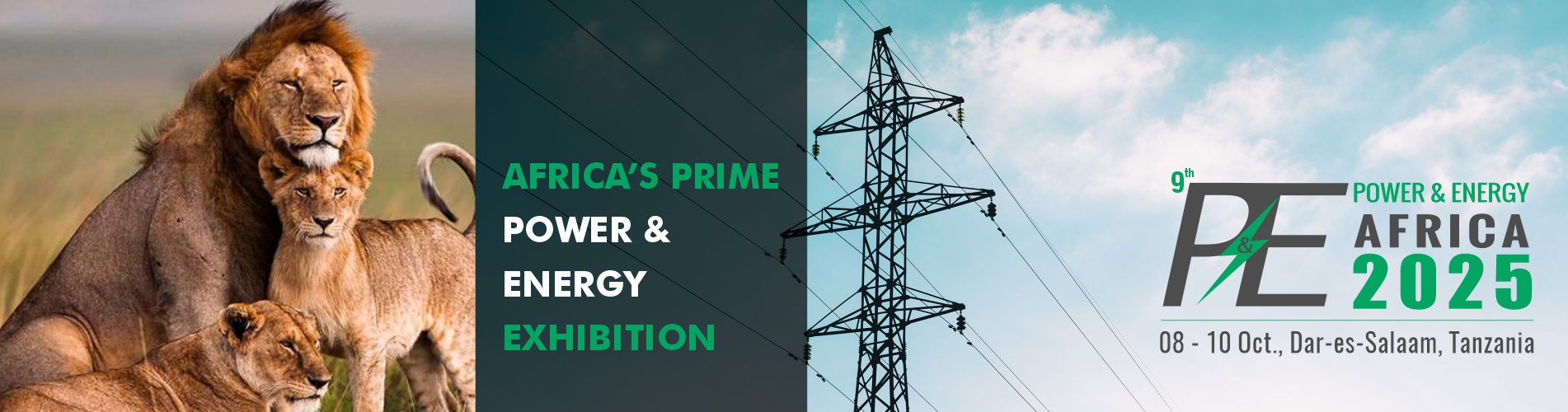 Power & Energy Tanzania 2025 - International POWER & ENERGY Show Africa