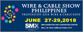 wire-philippines.com